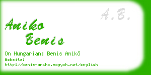 aniko benis business card