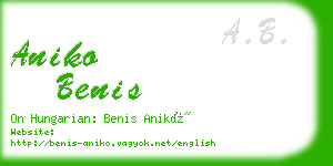 aniko benis business card